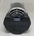 US MOTORS Square Flange Pool Pump Motor 5/8" Diameter Shaft Black ASB843